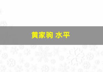 黄家驹 水平